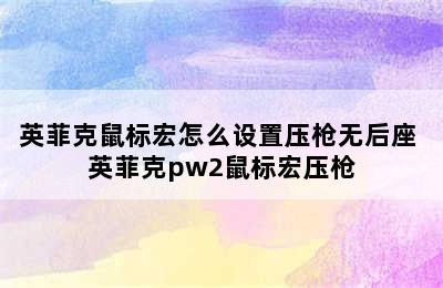 英菲克鼠标宏怎么设置压枪无后座 英菲克pw2鼠标宏压枪